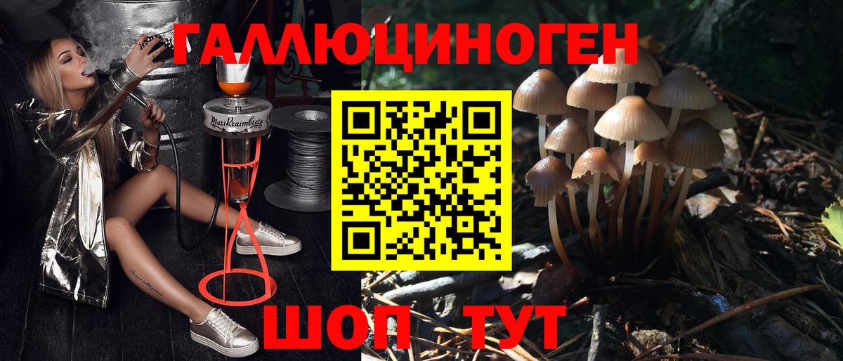 Галлюциногенные грибы Psilocybine cubensis  Псилоцибиновые грибы прущие грибы  Среднеуральск  Вход с VPN 
